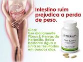 FIBER & HERB