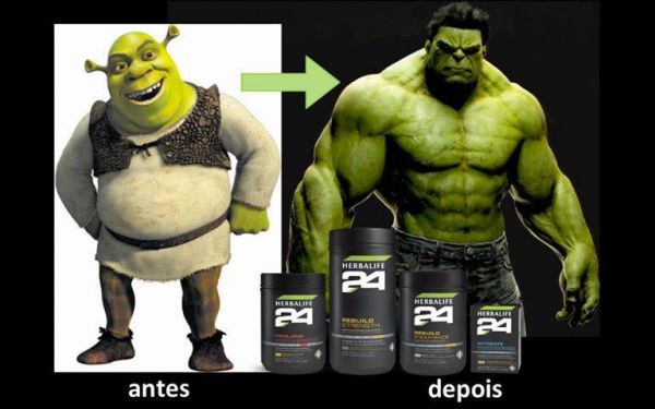 LINHA 24 HORAS
