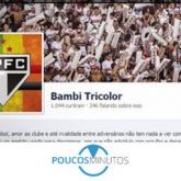 BAMBI TRICOLOR